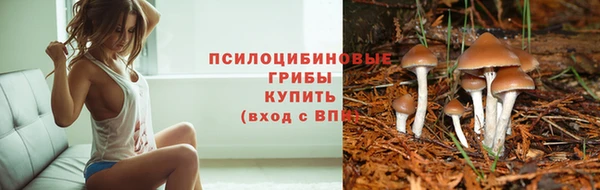 марки nbome Коряжма