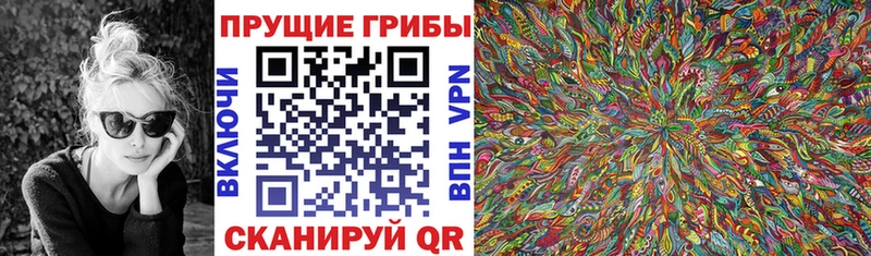 Псилоцибиновые грибы ЛСД  Купить закладки  Далматово 